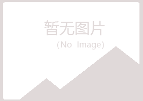 青岛崂山忆伤金属有限公司